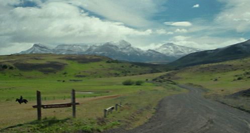 Horse over the Patagonian countryside